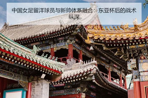 zhong-guo-nv-zu-liu-yang-qiu-yuan-yu-xin-shuai-ti-xi-rong-he-dong-ya-bei-hou-de-zhan-shu-zong-shen-2-225.jpg